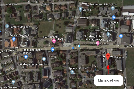 Toedistrasse 1 Siebnen